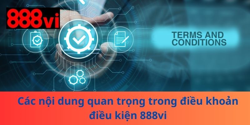 Các nội dung quan trọng trong điều khoản điều kiện 888vi